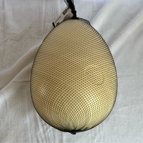 BARK BOX Super Chewer Dinosaur Egg - XL - Picture 3 of 11